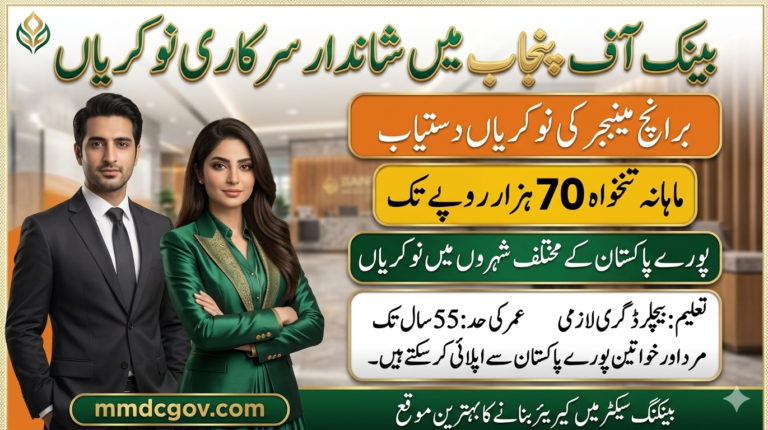 Boost to Small Businesses – Punjab Asaan Karobar Finance 2026